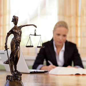 Земельные консультации в СПБ