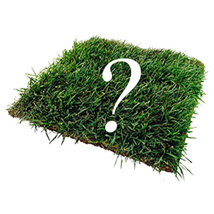 Кадастровый учет охранных зон