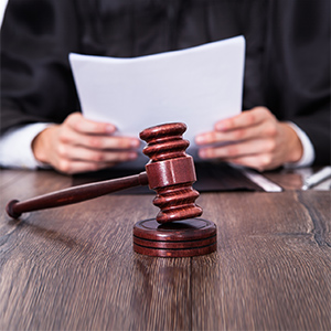 Сопровождение дела в суде 
